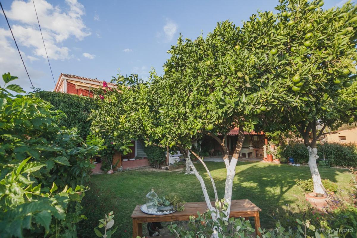 Zacharoulas Katikies Amarynthos Exterior photo